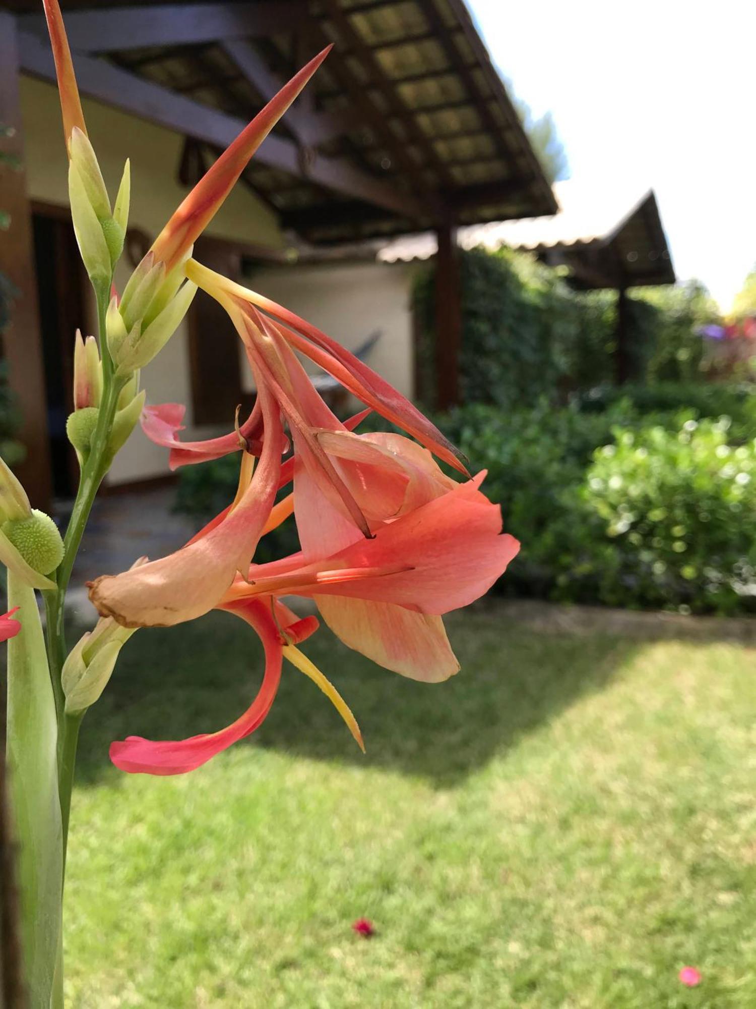 Pôrto de Pedras Pousada Rancho Paraiso מראה חיצוני תמונה
